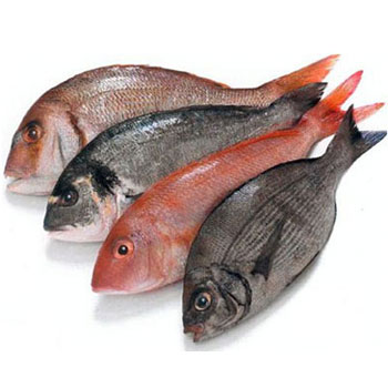 Pescaderías